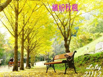 武陵農場的秋