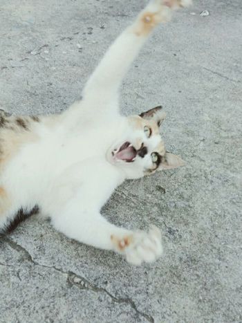 挺突然的😂😂