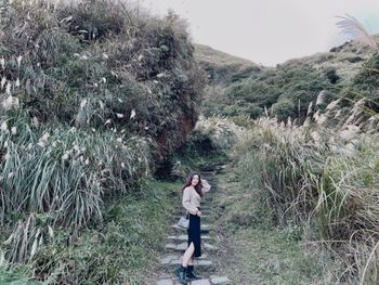 🇹🇼台北景點｜秋日芒草季🍃