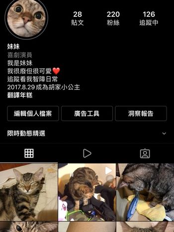 宣傳貓咪！