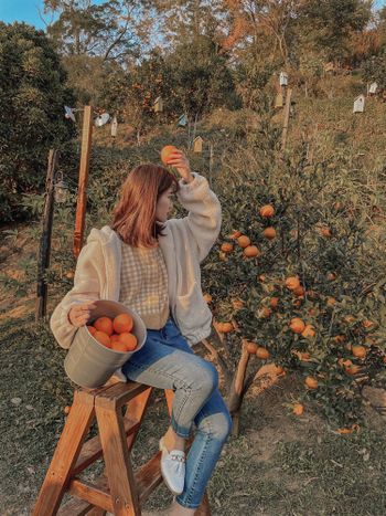OOTD｜季節限定🍊🍊🍊