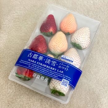 ꒰ 台北美食 ꒱ 超夢幻日本草莓🍓
