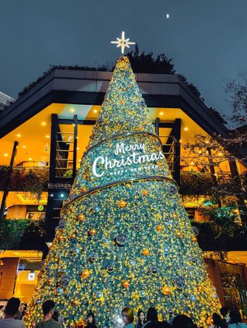 Merry Christmas 🎄｜台北信義A11聖誕樹🎅