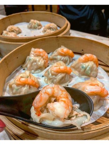 台中·西屯｜蝦到爆湯包🦐