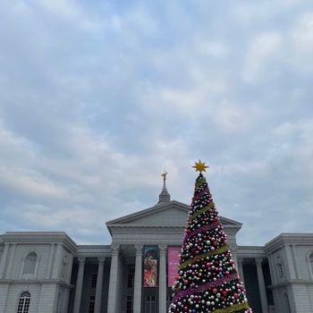 台南｜奇美博物館