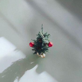 🎄