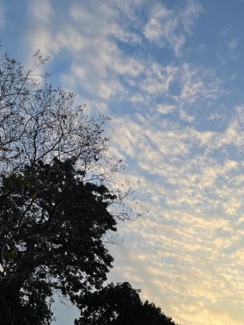 年末總整理時間ᕕ( ᐛ )ᕗ