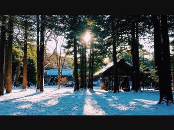 日本景點｜北海道