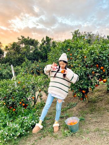 OOTD | 不用飛到韓國濟州島！這裡也能體驗韓國網美景點🍊