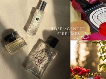 香氛控必收！回頭率超高玫瑰香水，走過都是妳的香氣🌹