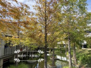 學校的風景
