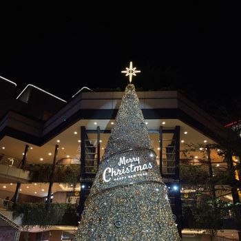 台北｜信義A11 🎄
