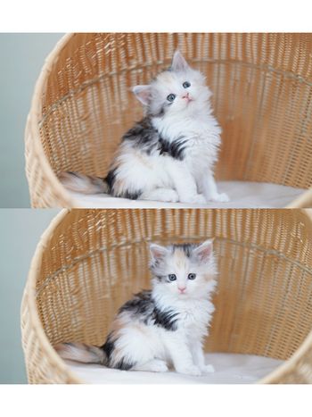 三十五天 全家福