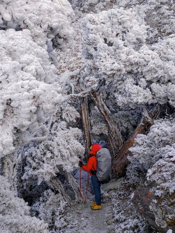 台東｜嘉明湖⛰️下雪也要上去