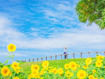 台中｜后里環保公園