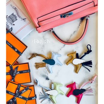 /꒰ঌ♘໒꒱\ 療癒系小飛馬/Hermès