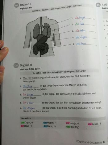 這週的德語筆記們