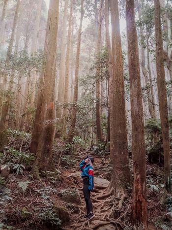 苗栗景點｜過年走春行程，加里山爬起來～