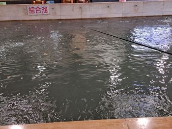 1／26 去釣蝦，收獲滿滿哦（∩▽∩）