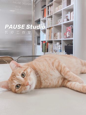 超人氣台北貓咪咖啡廳.ᐟ.ᐟ Pause Studio 