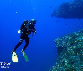 deep blue sea