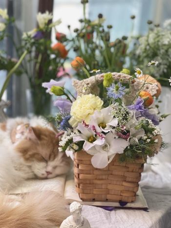 台中｜與毛小孩們一起插花吧🌼｜沐藤花藝