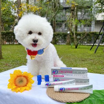 貓狗必備一隻害淨牙膏