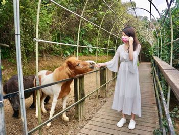 ［北海岸咖啡廳］小馬貝菈親子餐廳 