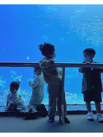 屏東｜海洋博物館