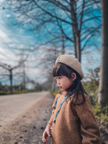 木棉花道你今年追了嗎？