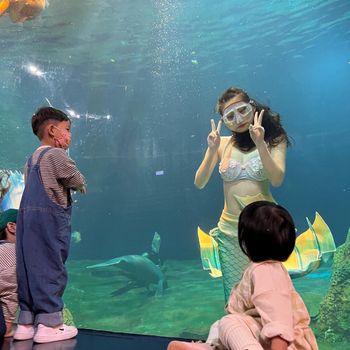 海洋公園人魚