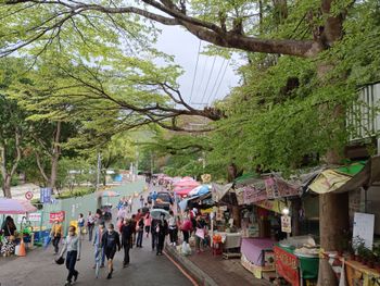 台中大坑登山步道