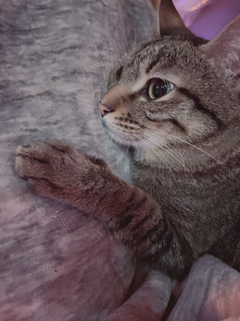 俏俏看世界☺️