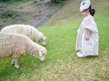 一秒到阿爾卑斯山🐑