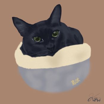 黑貓｜客製插畫