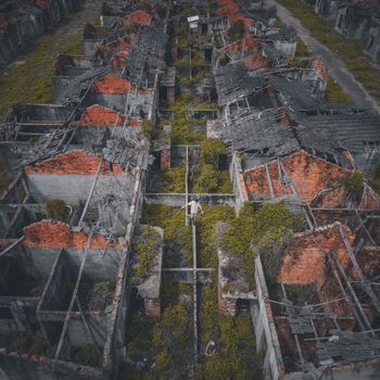 嘉義秘境
