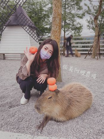 宜蘭｜張美阿嬤農場｜超療癒小動物