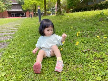 花花酪梨🌼