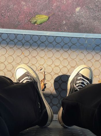 冷冷廢廢爽爽的三月