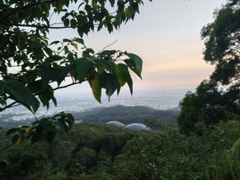 台中望高寮