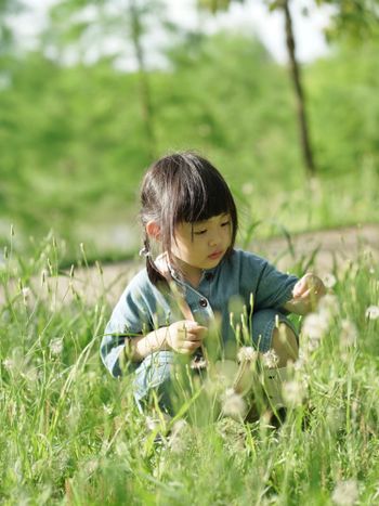 親子/紛飛吧蒲公英