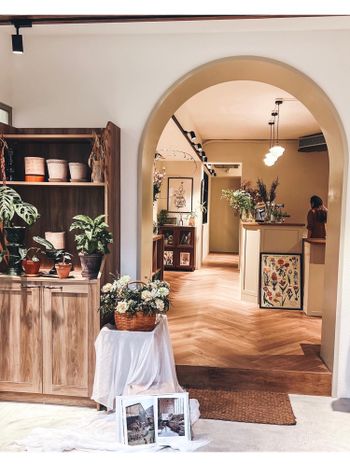 永春咖啡廳｜植物系結合咖啡廳🪴｜清新木質風｜滿滿的龜背芋阿🌱