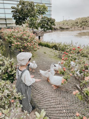 台南景點｜親子放風好去處｜博物館竟然也能看鴨♥︎