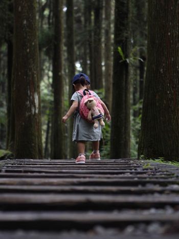 月月週末爬山去➳溪頭森林遊樂區