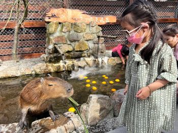 張美阿嬤農場🐑🦘