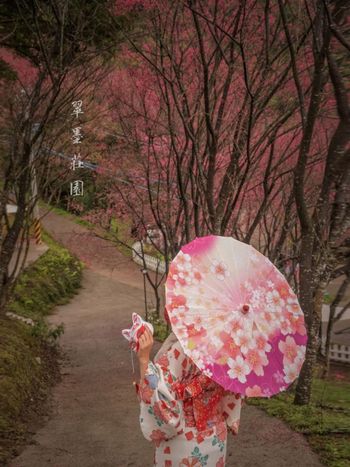 不能出國沒關係，翠墨莊園給你日本旅遊的賞櫻和服穿搭體驗