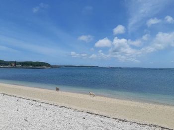 都給你們浪漫就好了！