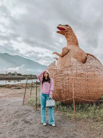 花蓮富里 🤎 超萌恐龍出沒注意