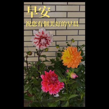早安妳好祝你有個美好的早安圖