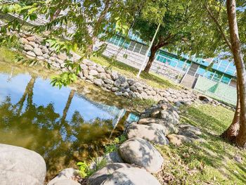 高雄 本和里滯洪池公園